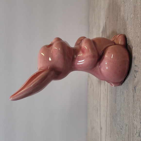 Red Rabbit - Picture 4 of 6